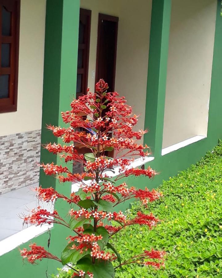 Wikungo Hotel Puerto Nariño 外观 照片