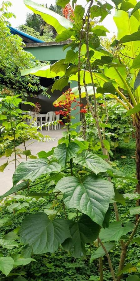 Wikungo Hotel Puerto Nariño 外观 照片