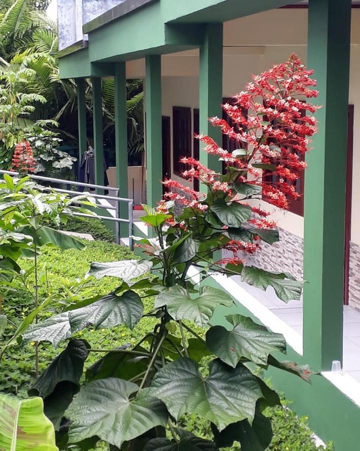 Wikungo Hotel Puerto Nariño 外观 照片